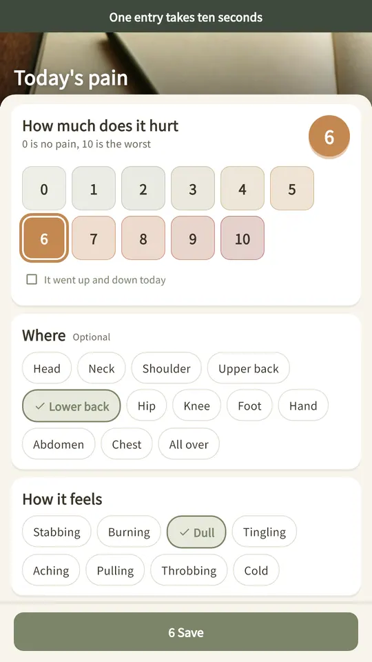 Pain Diary Screenshots 2